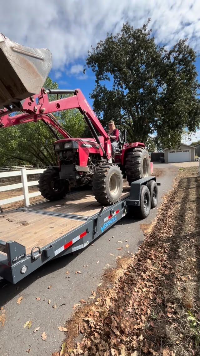 angels-cleanup-santarosa-dumpsters-junkremoval-brushclearing13