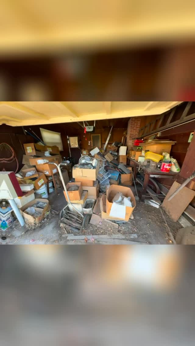 angels-cleanup-santarosa-dumpsters-junkremoval-brushclearing19