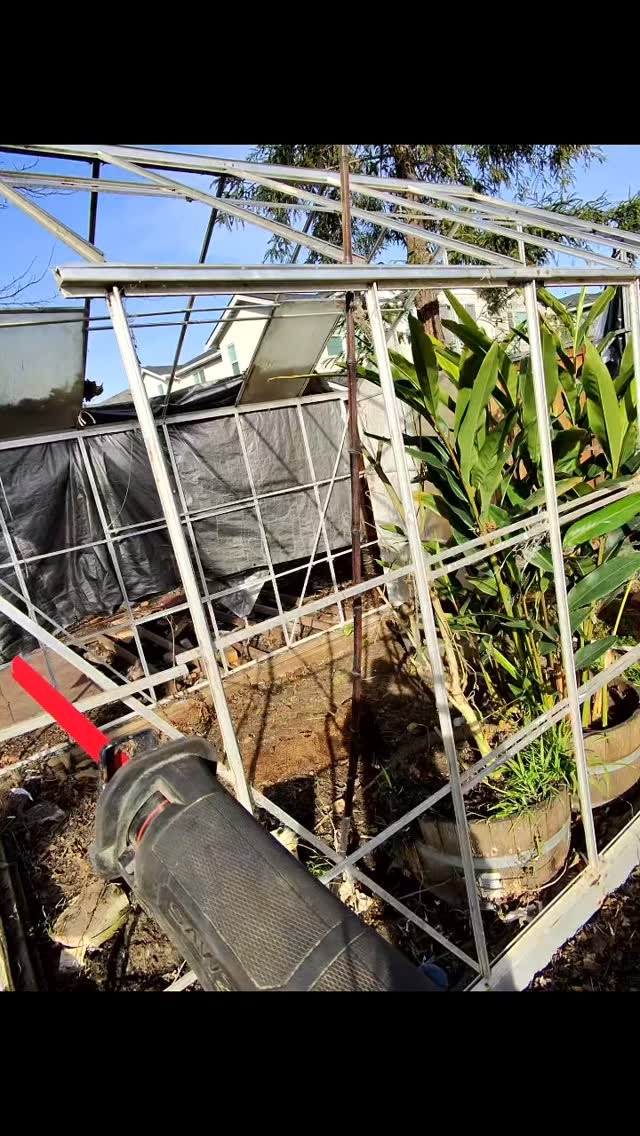 angels-cleanup-santarosa-dumpsters-junkremoval-brushclearing21
