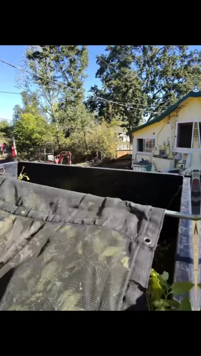 angels-cleanup-santarosa-dumpsters-junkremoval-brushclearing4