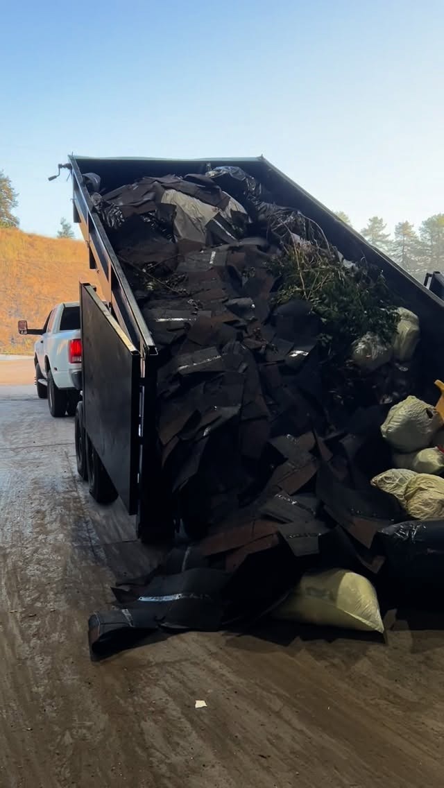 angels-cleanup-santarosa-dumpsters-junkremoval-brushclearing7