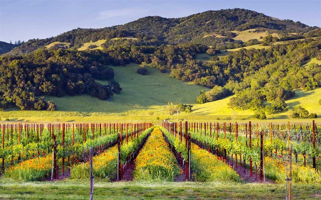 Kenwood, CA