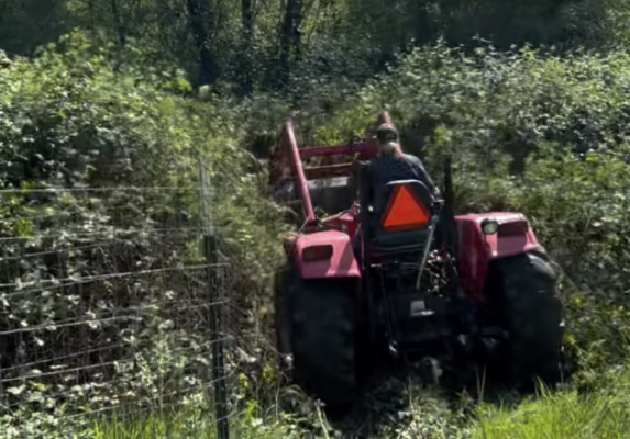 Why Brushing Off Overgrown Weeds Each Spring Puts Local Properties at Risk for Summer Fires