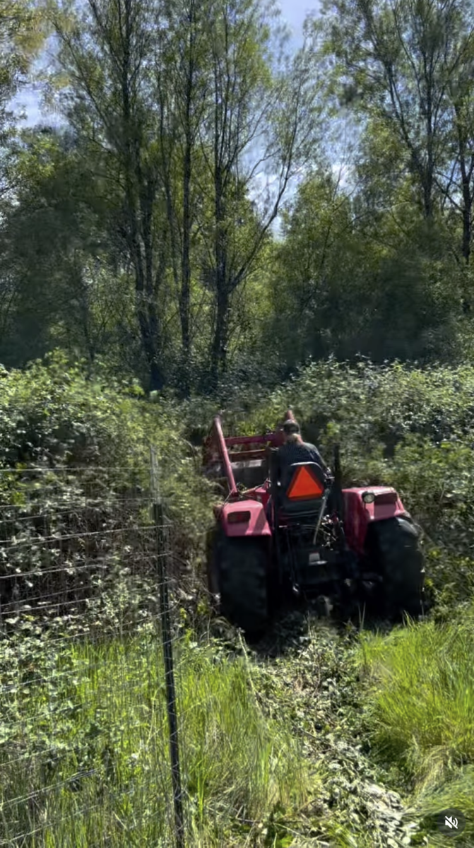 sonoma-county-land-clearing